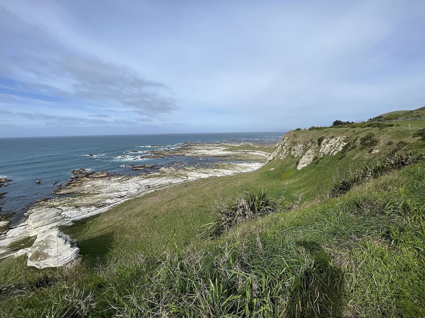 Kaikōura Peninsula 海岸