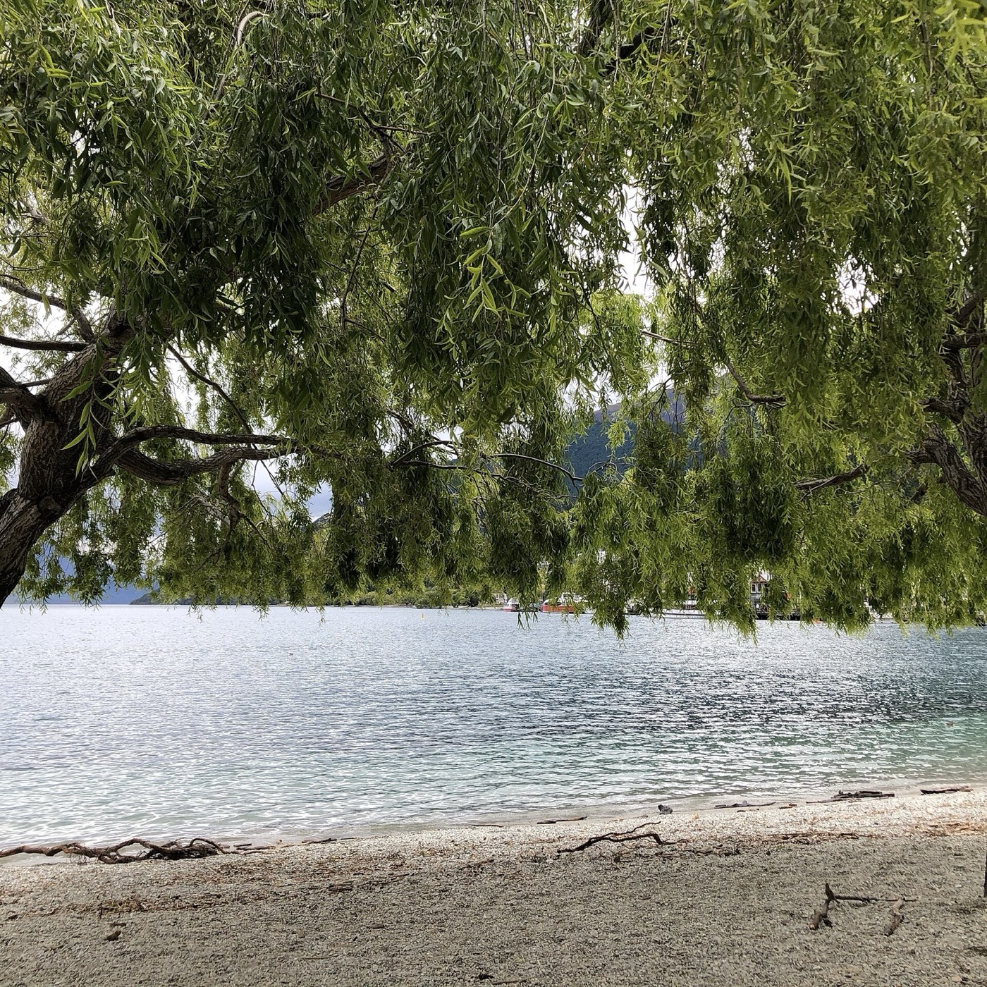 Queenstown Gardens 湖边